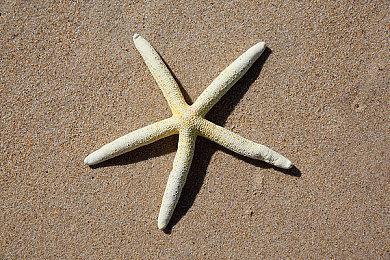 《雾锁王国》Steam峰值人数破15万 特别好评